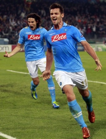 布鲁尔展示 布鲁尔展示